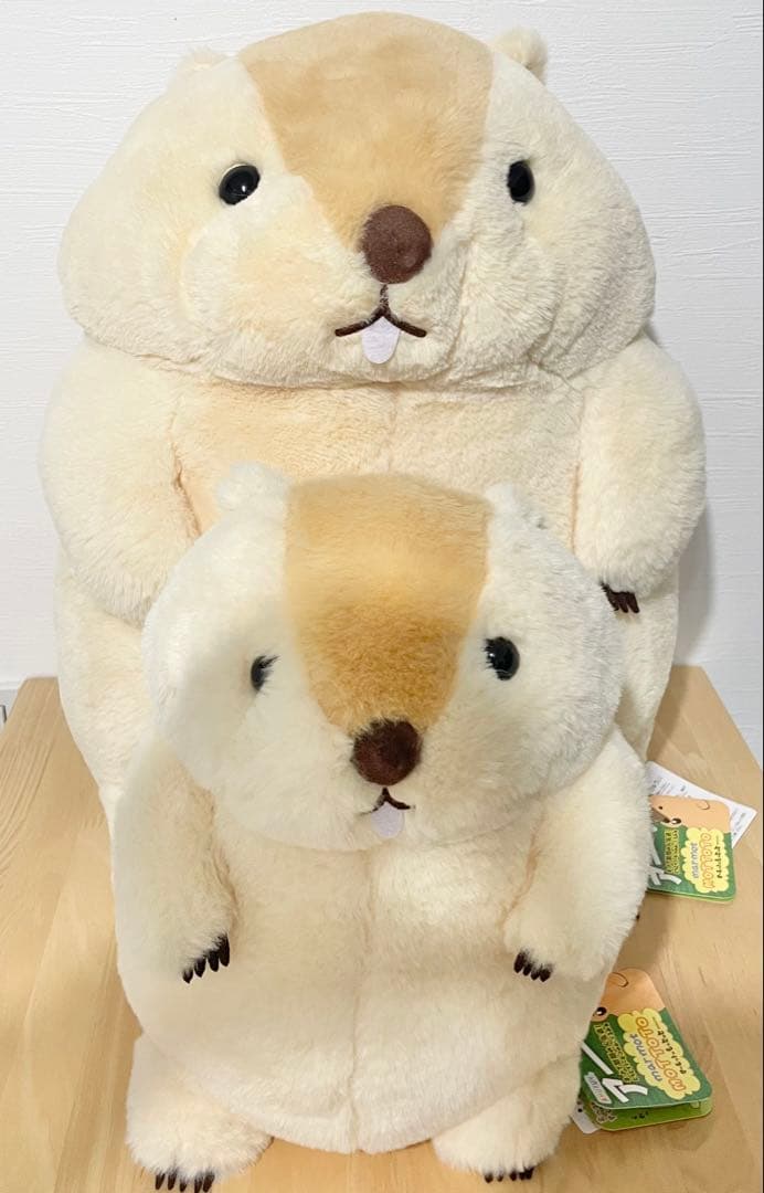 【三毛 ページ】もっとっと 2点