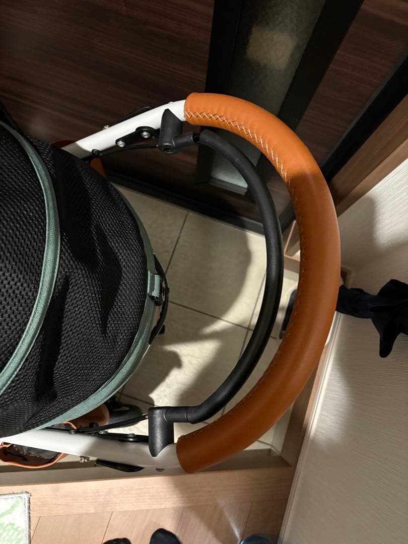 【本日限定価格】AIRBUGGY　DOME3 ラージ ペットカート クローバー