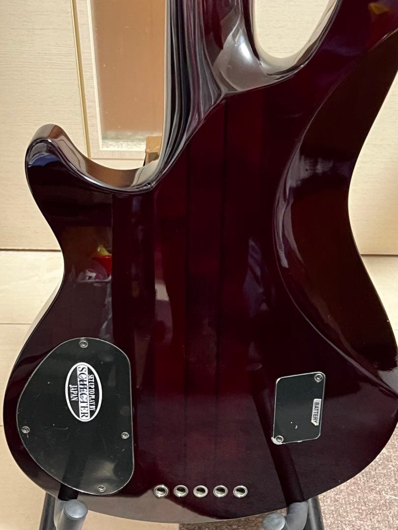 即発送 SCHECTER HELLRAISER-5 5弦ベース 調整済み