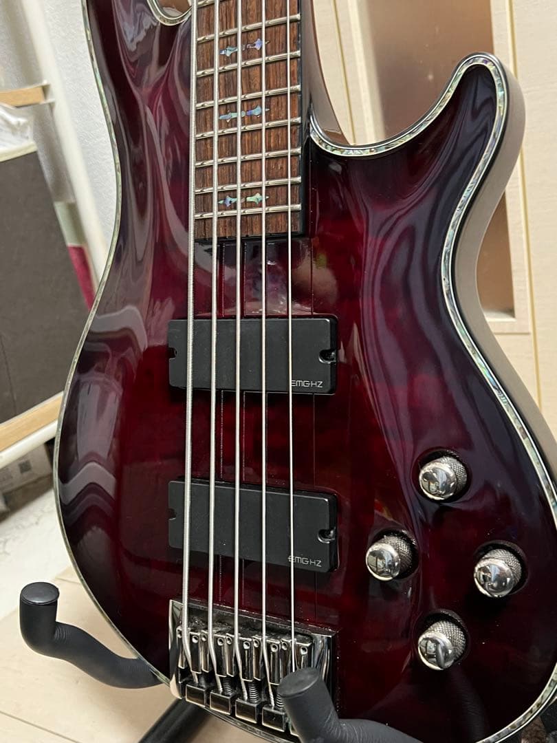 即発送 SCHECTER HELLRAISER-5 5弦ベース 調整済み