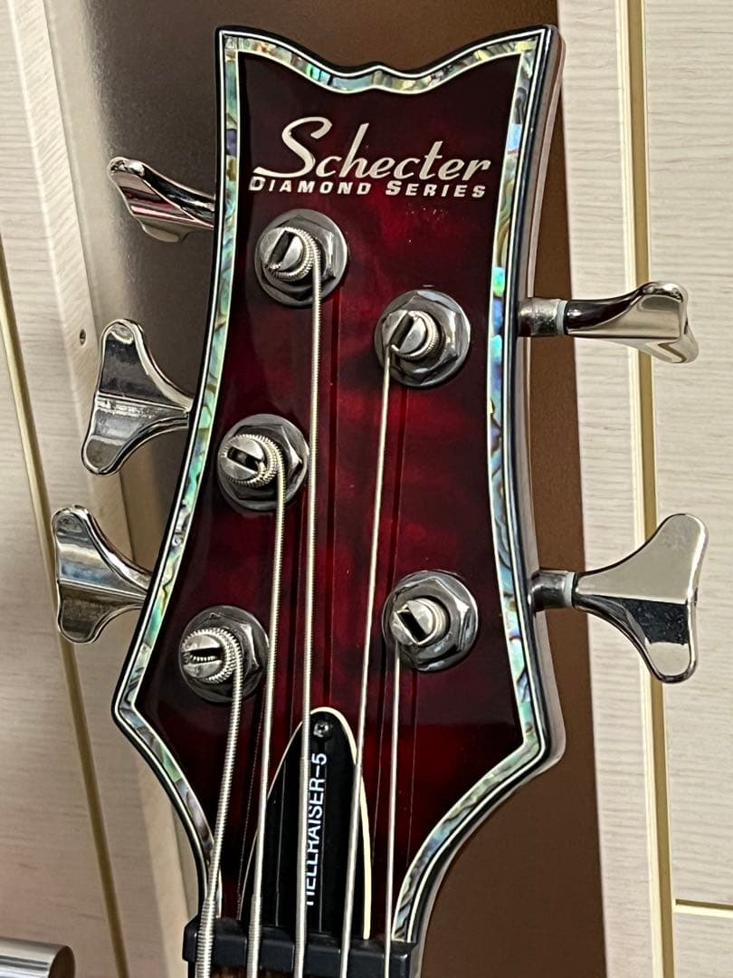 即発送 SCHECTER HELLRAISER-5 5弦ベース 調整済み