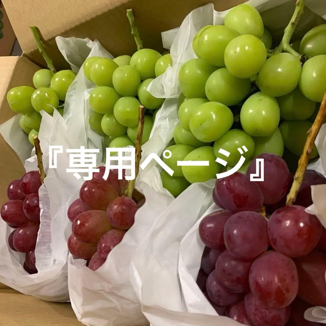 ①信州　葡萄おまかせBOX （4キロ箱2セット」）