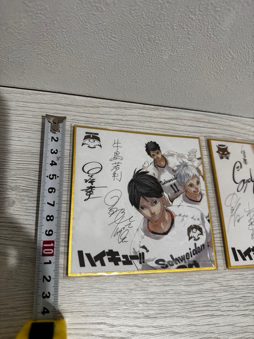 〈非売品〉ハイキュー完結記念　サイン色紙