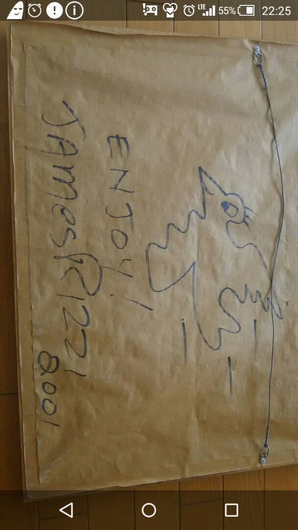 直筆サイン入り james rizzi 中古