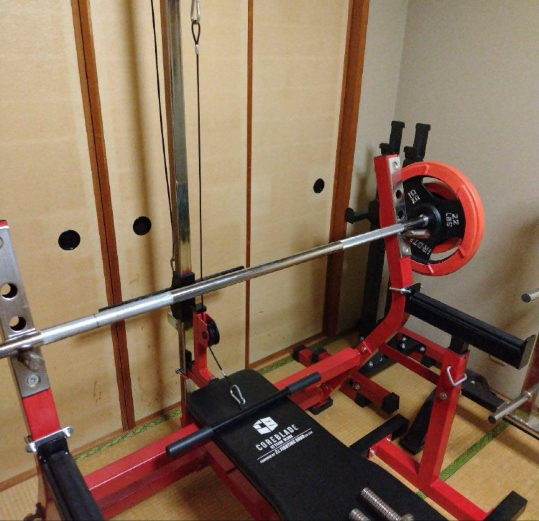 引き取りのみ　[珍品]ベンチプレスセット