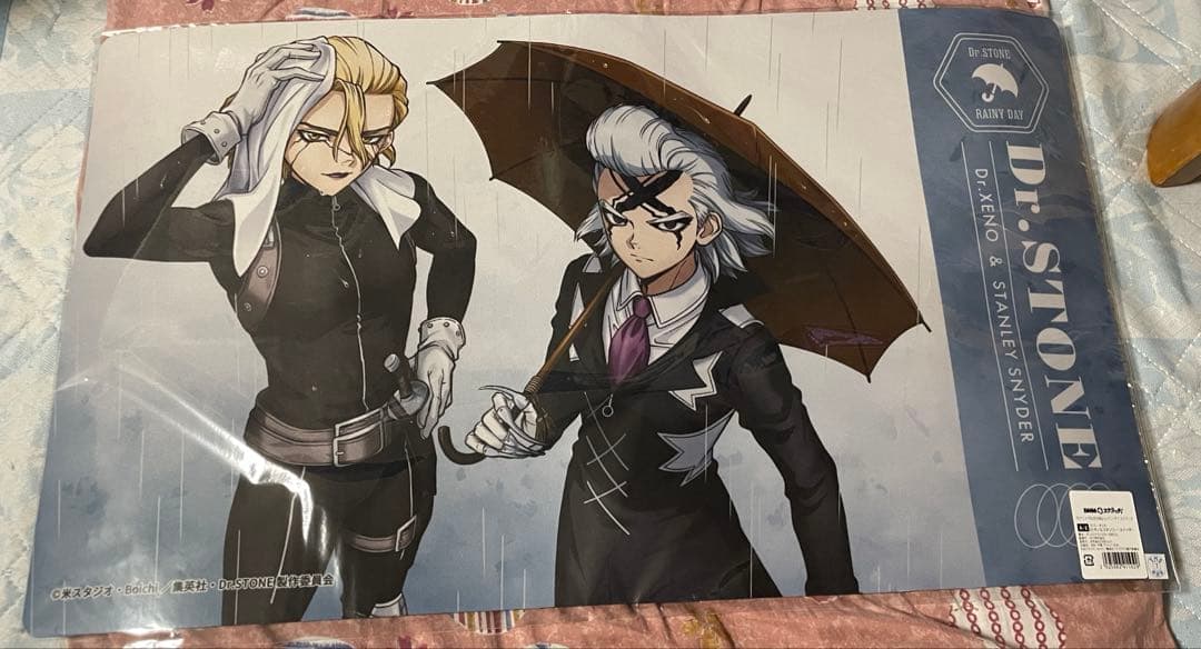 Dr.STONE ドクスト レイニーデイ DMMくじ スクラッチ セット