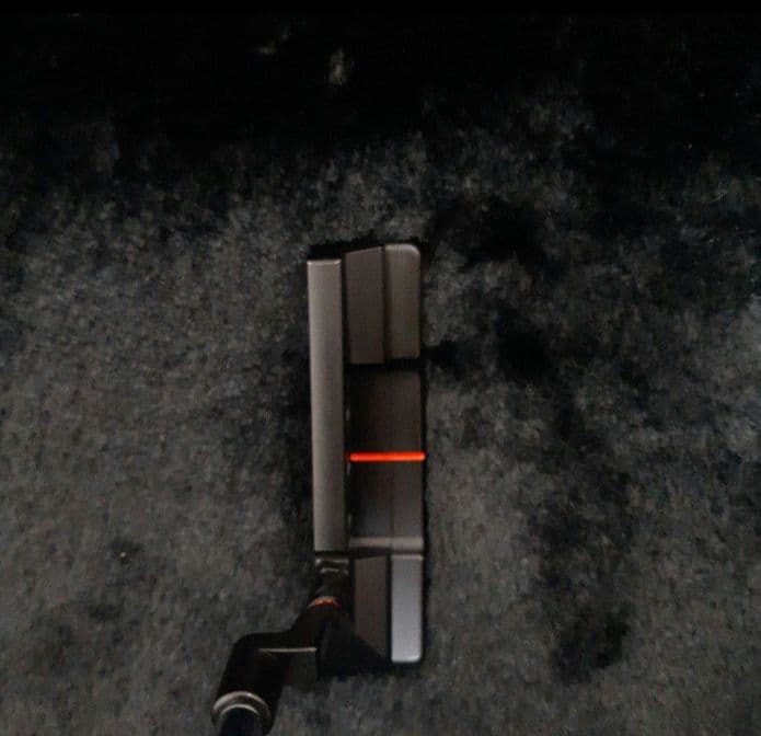 タイトリスト　スコッティキャメロン　モンスタースカル　ツイストネック　パター