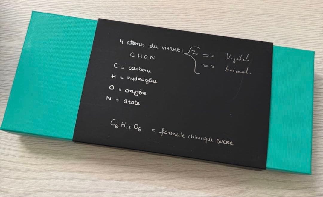 パトリックロジェ　BR6 ロンゲール