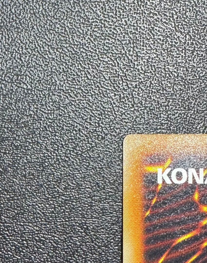 【親知らず】 レッドアイズブラックドラゴン/真紅眼の黒竜/ 遊戯王/レリーフ