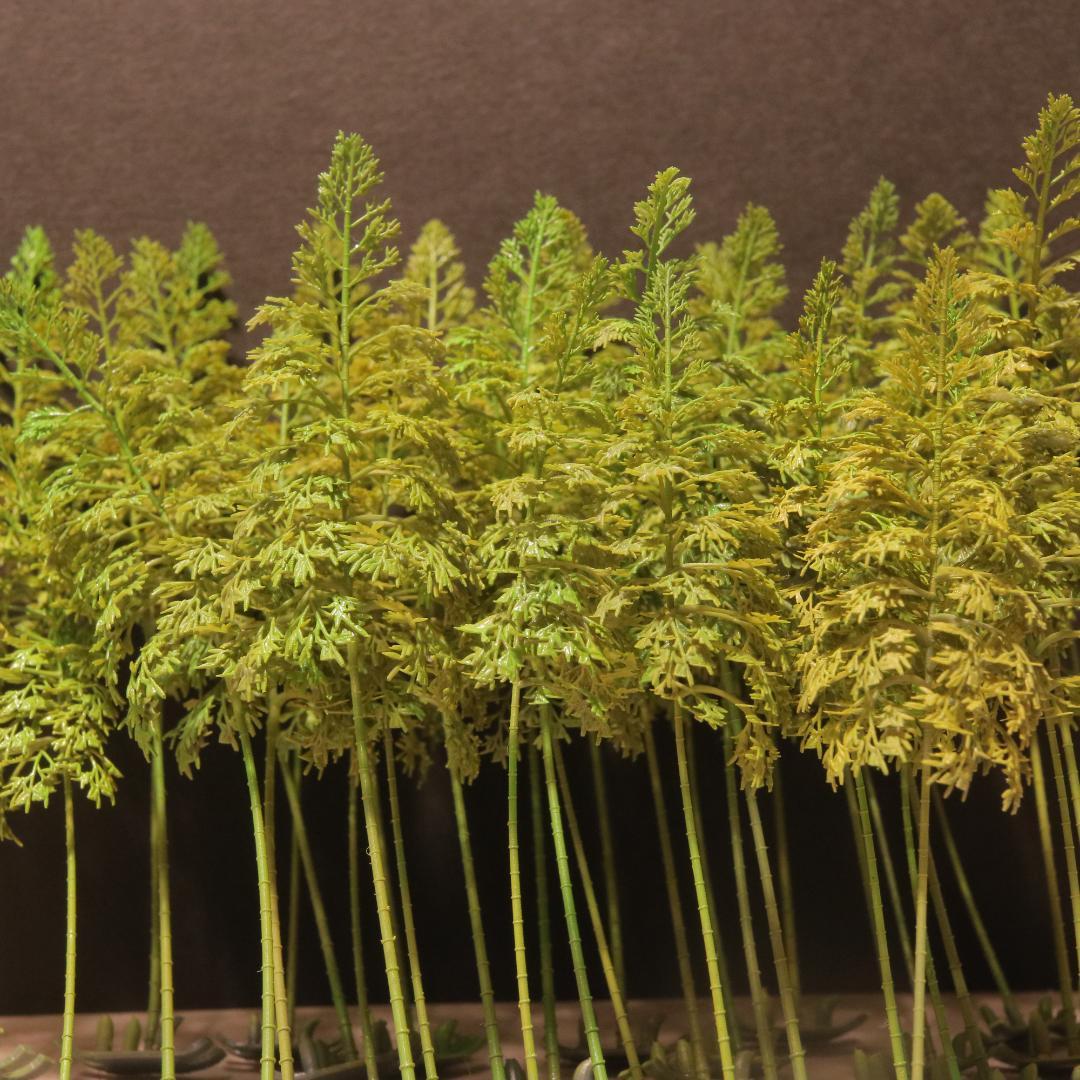 【風船さま専用】神社・鳥居＆竹・枝垂れ桜・クロマツ（Nゲージ）