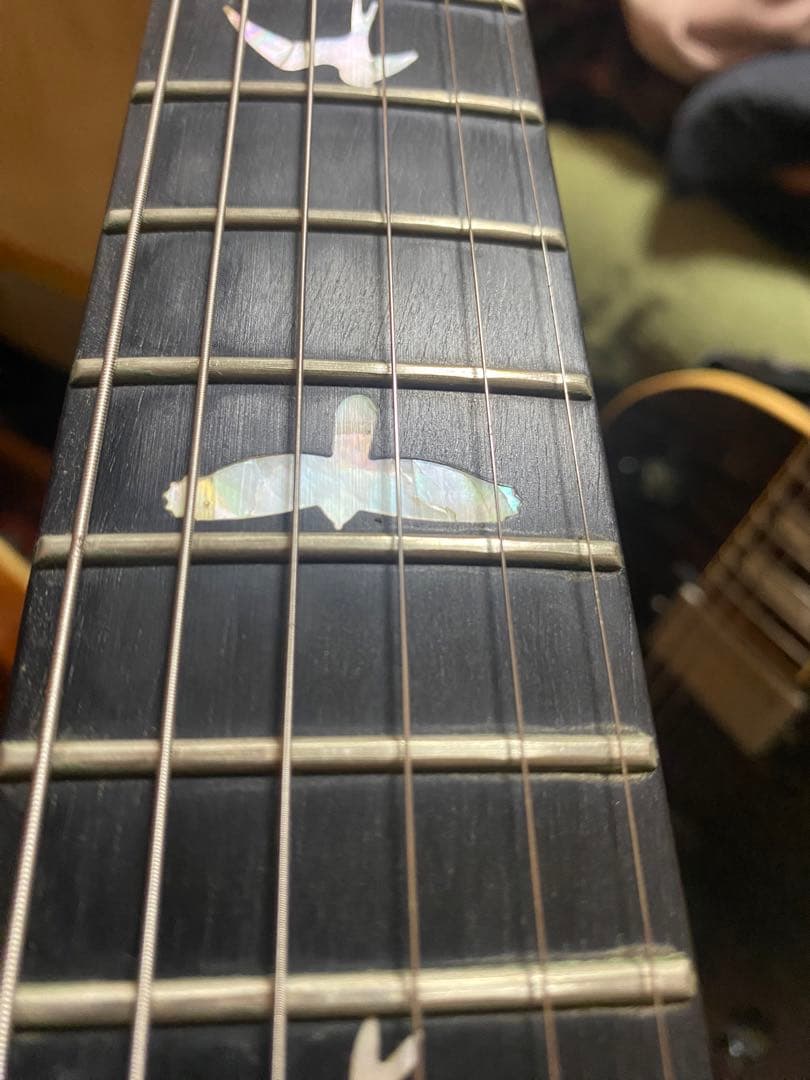 ギター paul reed smith tremonti signature