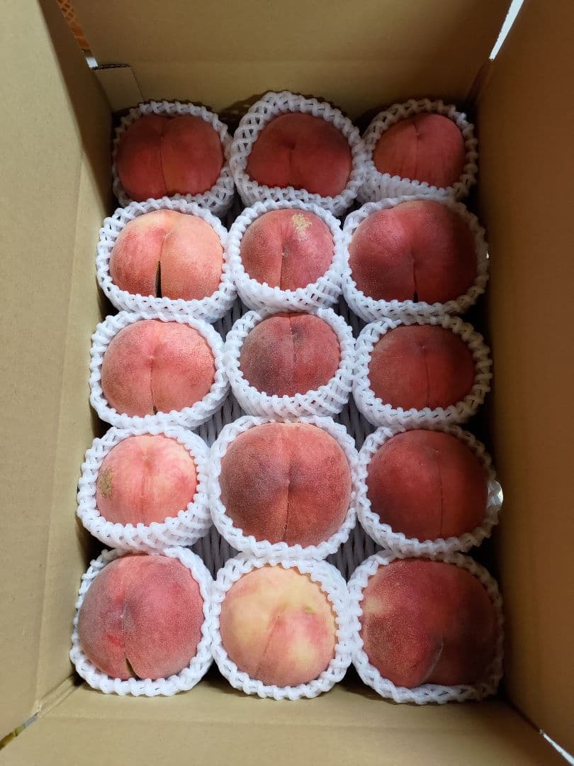 みーちゃんさん専用　特大　桃　幸茜　わけあり　　　10kg