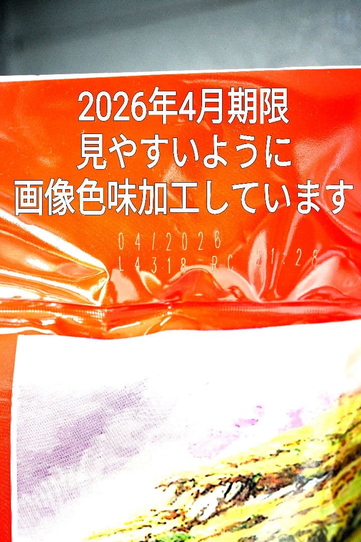 最安値　大容量　ヨークシャーティー　イギリス　紅茶 1040ティーバッグ
