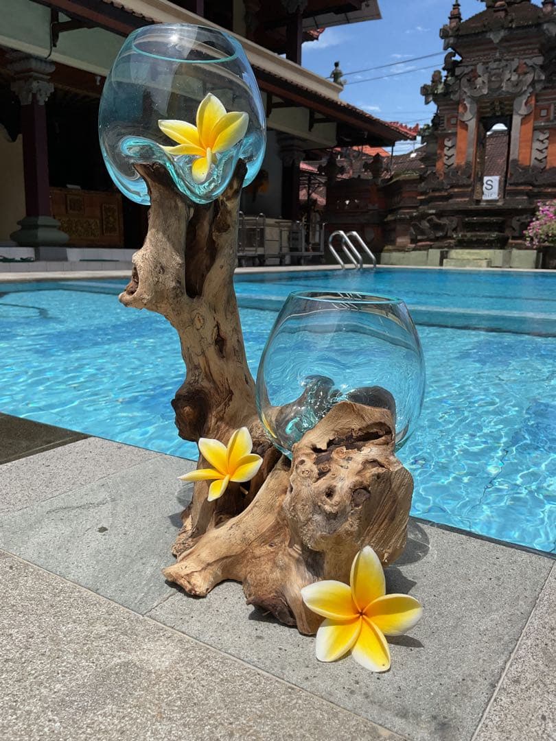 【新入荷】フィッシュボール(天然木ガラス水槽)Mサイズ2個口