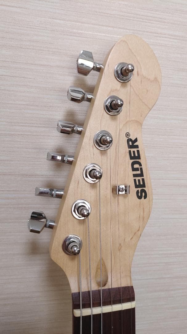 Selder エレキギター (10点セット)