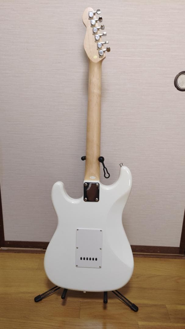 Selder エレキギター (10点セット)