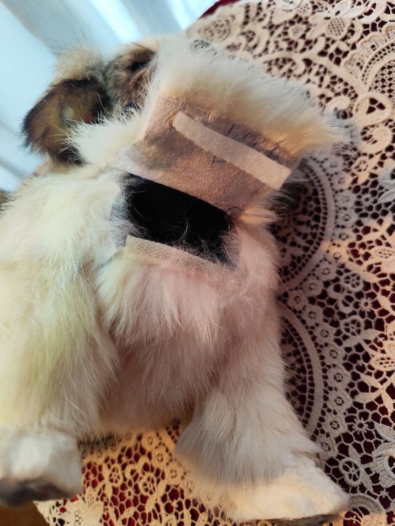 レトロ　シーズー　ぬいぐるみ　レトロぬいぐるみ