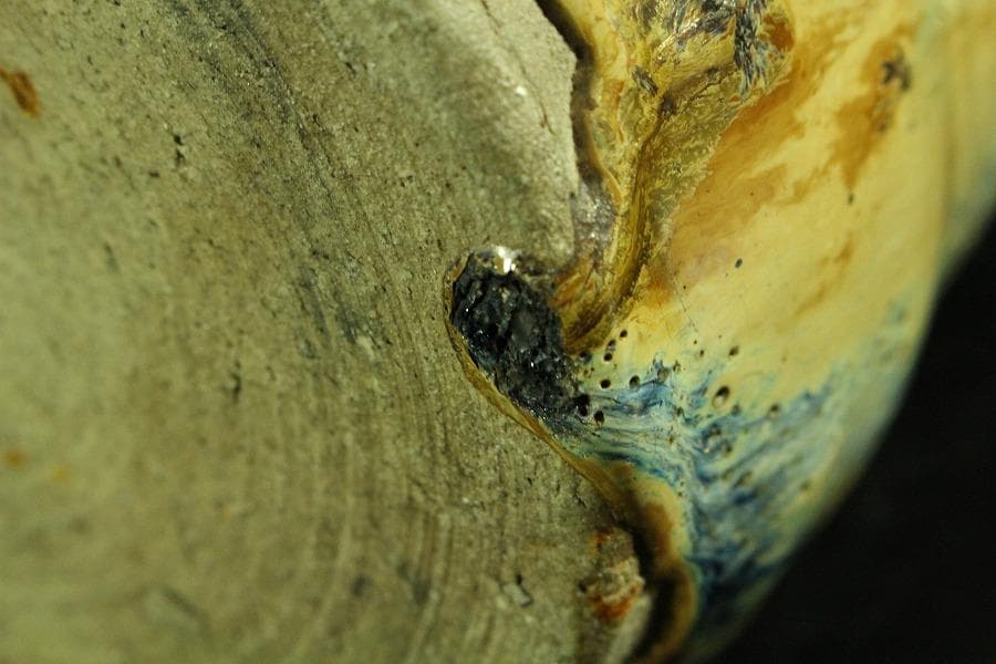 茶道具 鳴海瀬戸水指(K-XA946)