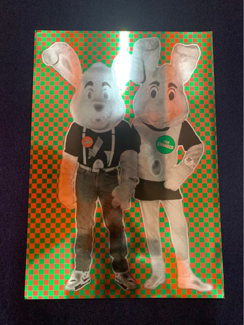 スケシン スケートシング skatething changes アート作品