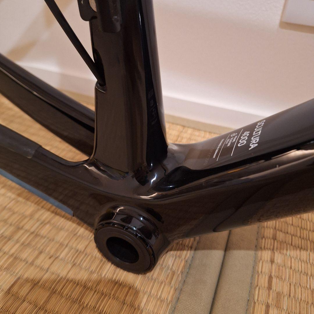 キノコ　メリダ スクルトゥーラ　 バーレーンヴィクトリアス