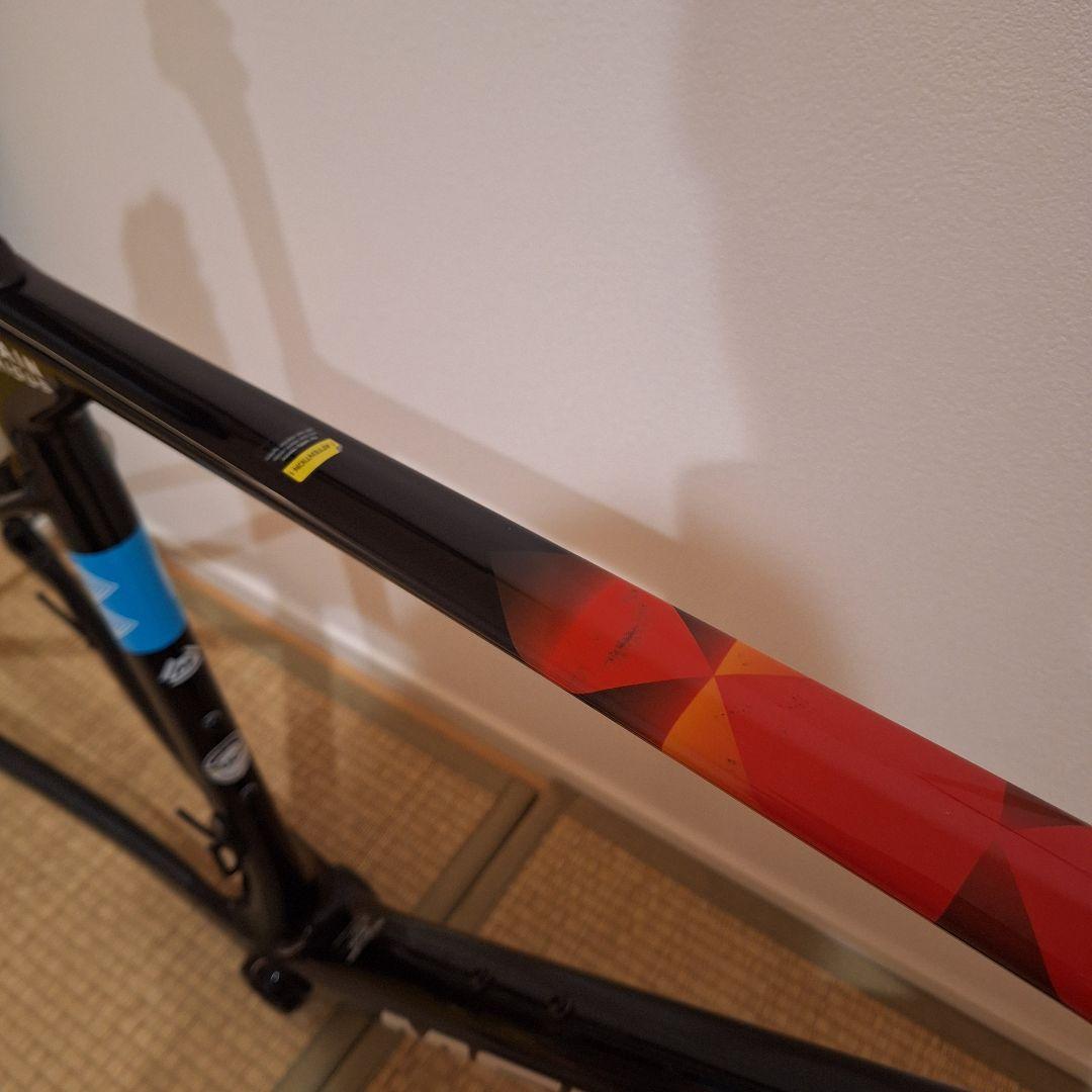 キノコ　メリダ スクルトゥーラ　 バーレーンヴィクトリアス