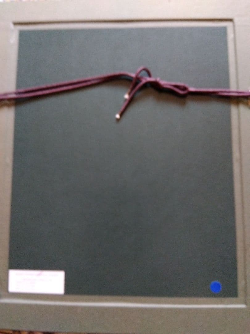 芸術写真 Aurora Dance 110/1000