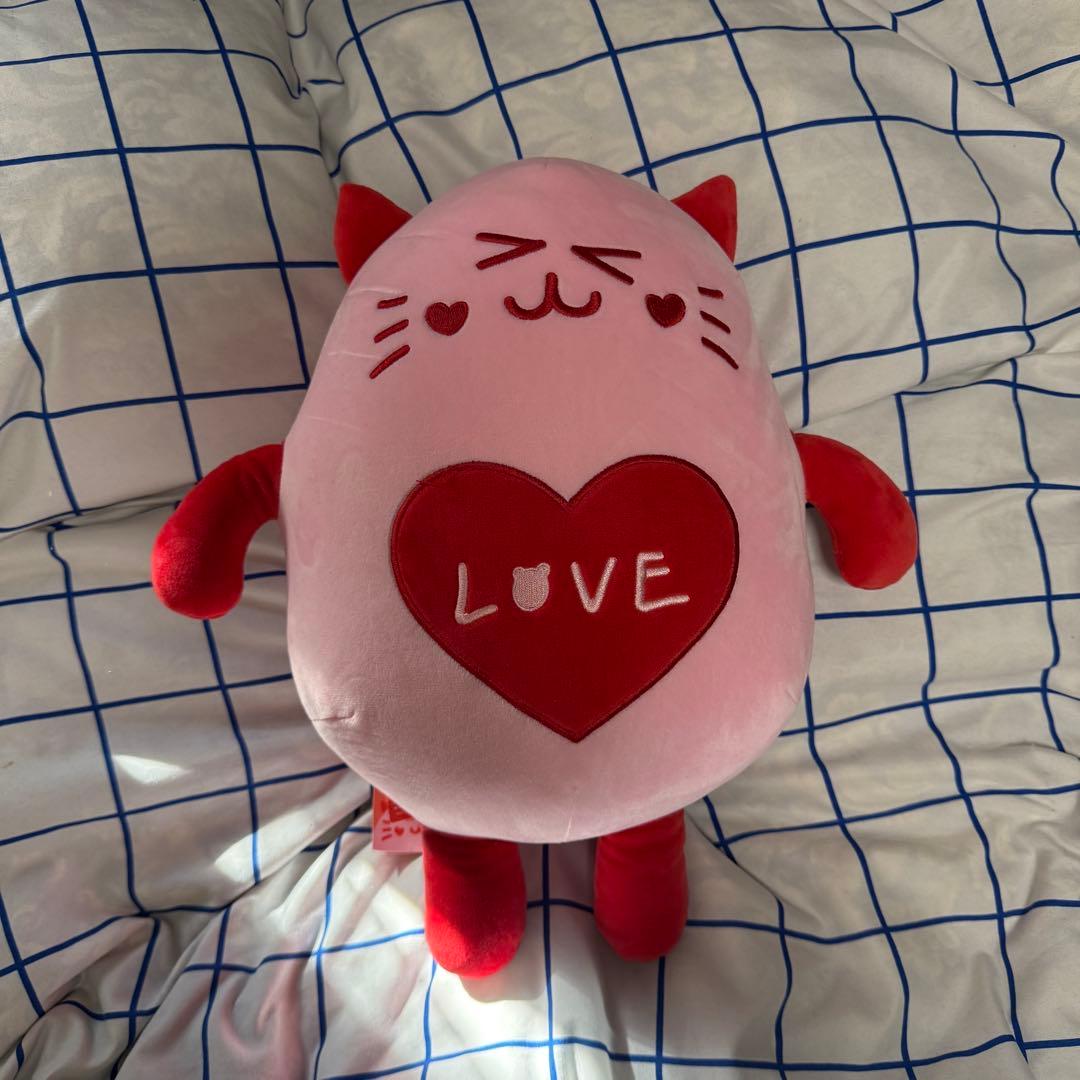 ASTRO アストロ　ROROHA ニャンニャ　ムンビン　ぬいぐるみ