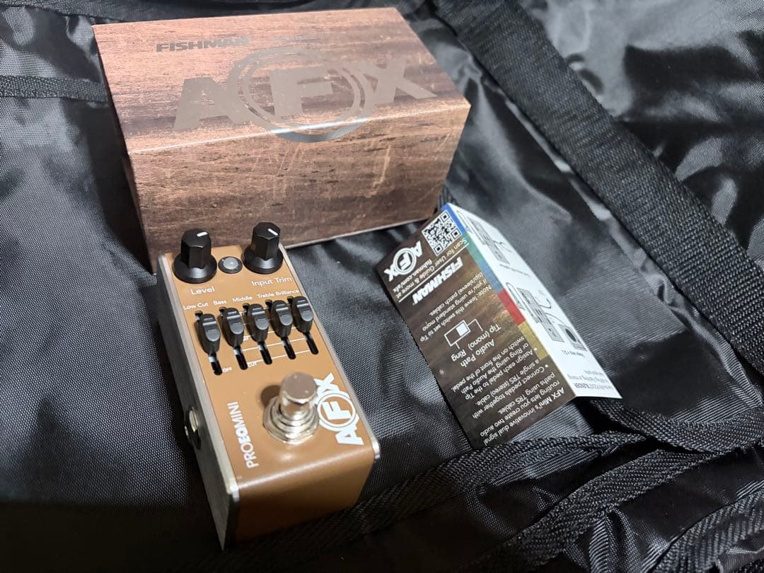 ギター Fishman AFX Pro EQ mini