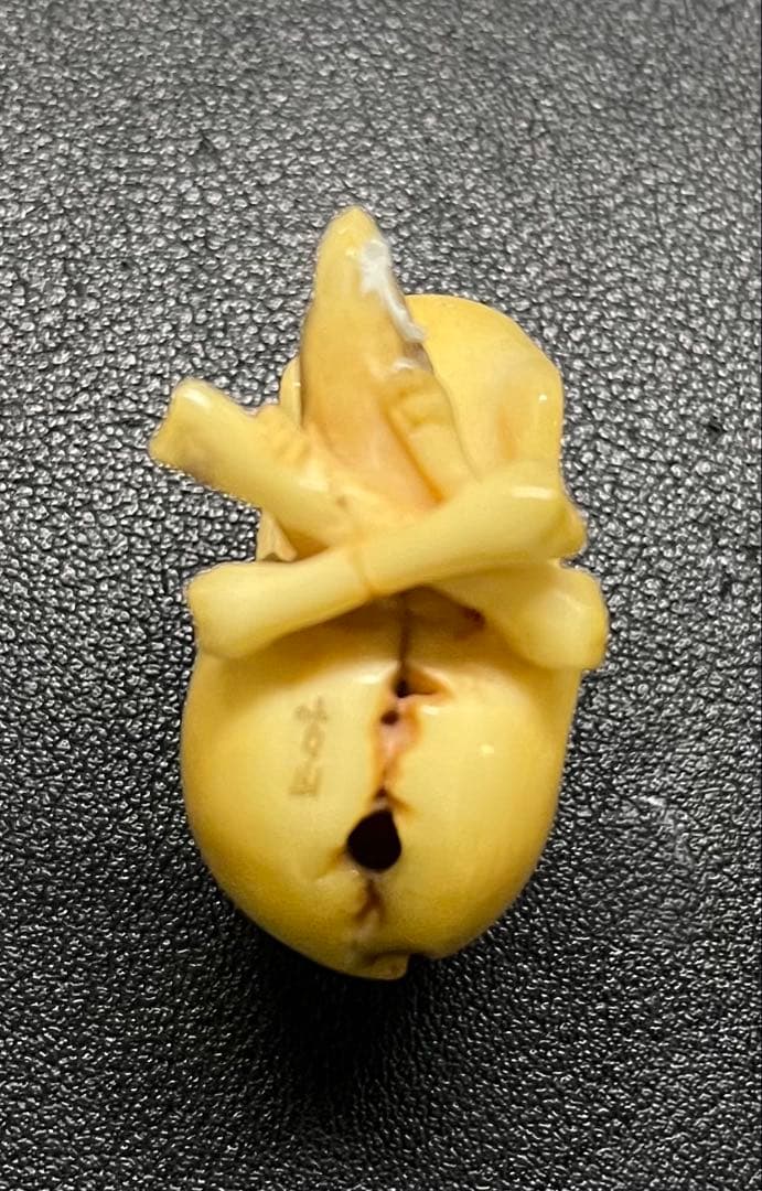 激レア！骸骨根付け 鼠 骨製 スカル 髑髏 時代物 アンティーク 古山 ボーン