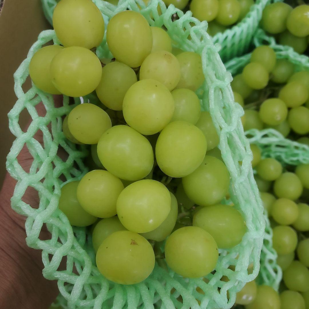 3️⃣ 山梨県産 シャインマスカット 11房入り 箱込み5.3キロ