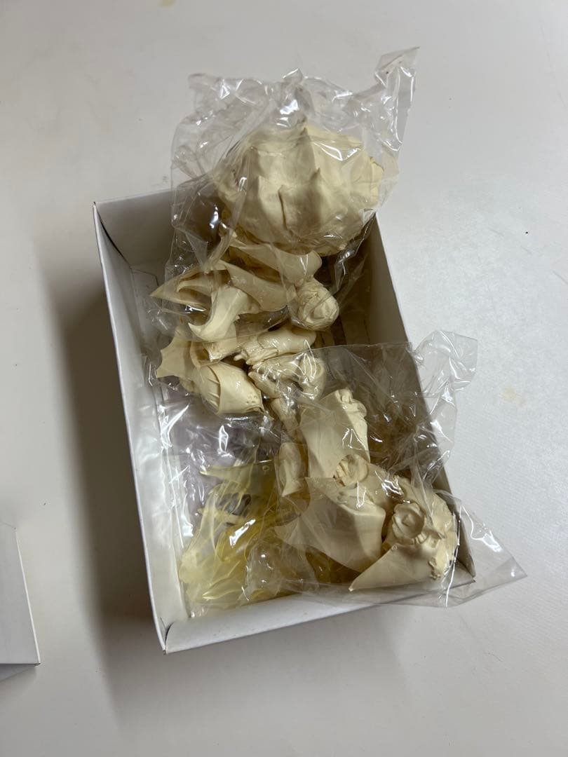 ※値下不可　コトブキヤ　サーバイン　ズワウス　セット　2003年　C3