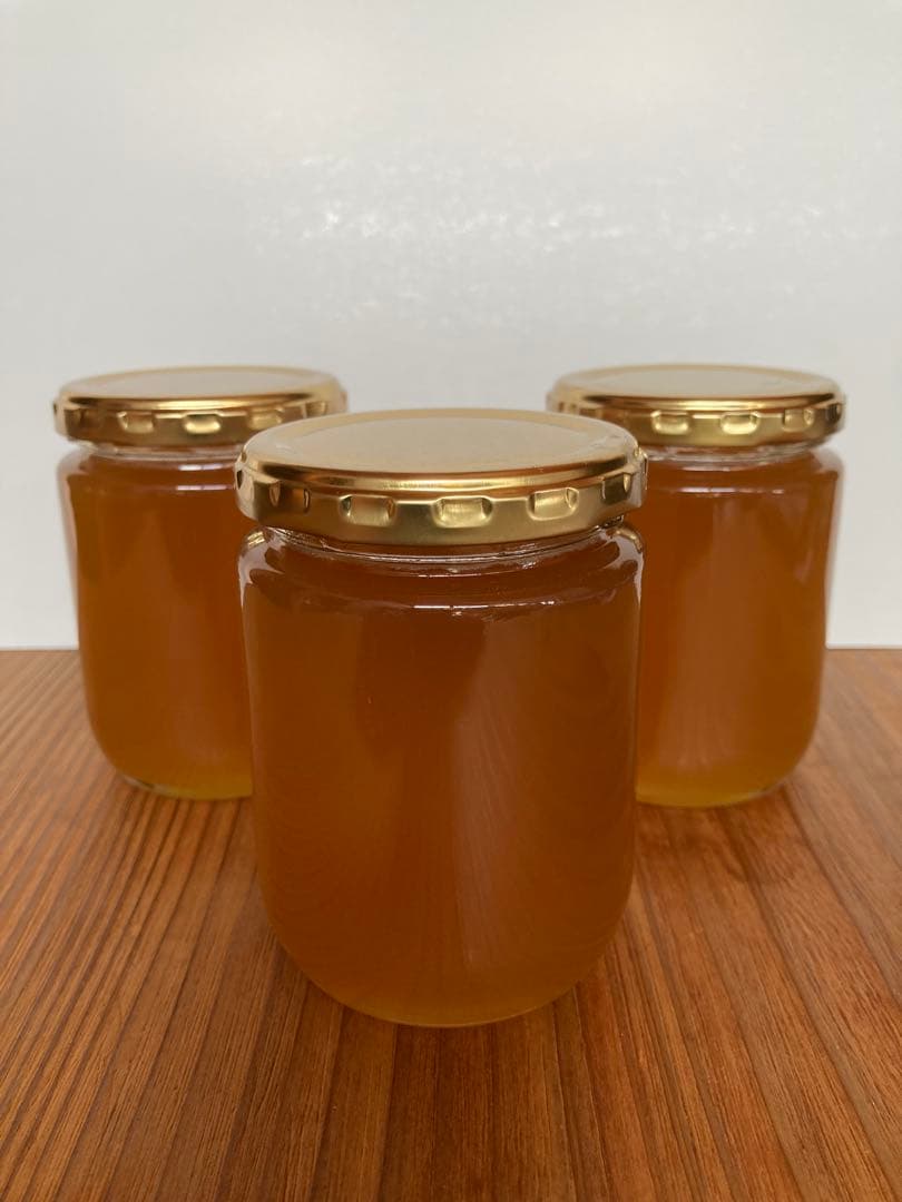 日本ミツバチのハチミツ　たれ蜜 ❣️送料込み‼️ ¥8,640