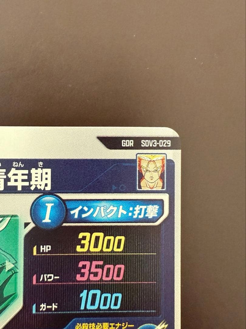 SDV3-029 GDR トランクス:青年期