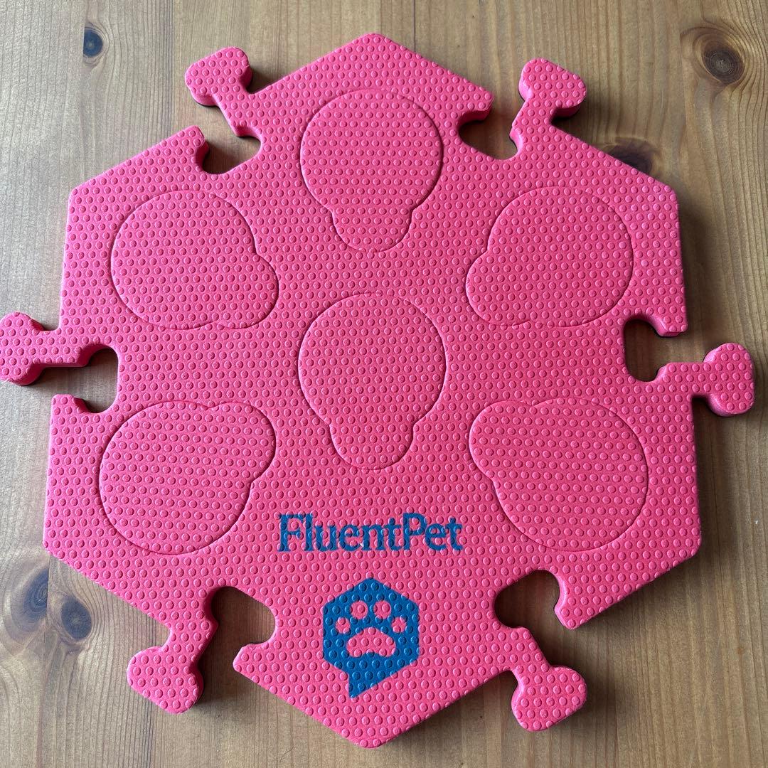 FluentPet フルーエントペット　ペット ボタン 会話 犬会話ボタン