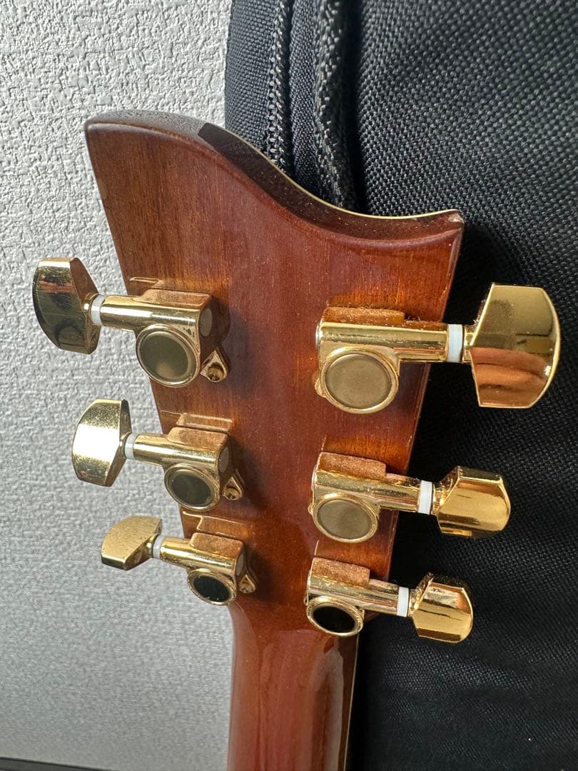 Jay Turser MODEL No. 500 プロ仕様 ※31※