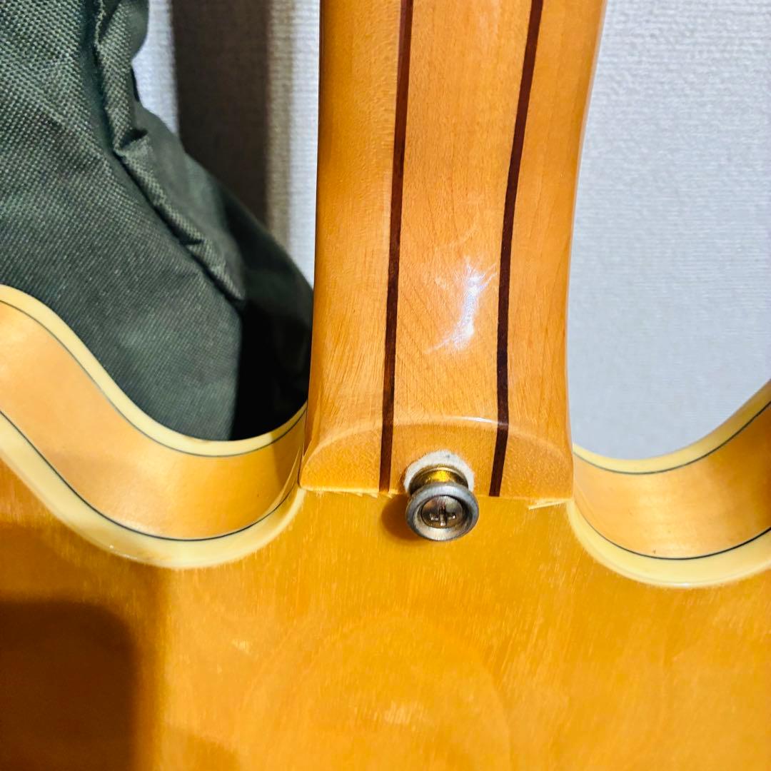 EPIPHONE Sheraton-II 【動作確認済】エピフォン セミアコ