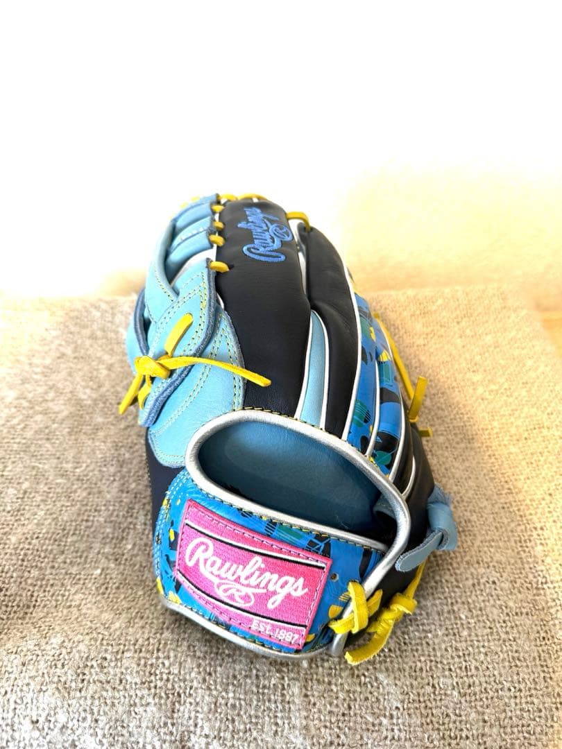 Rawlings THE GOLD GLOVE 軟式グローブ