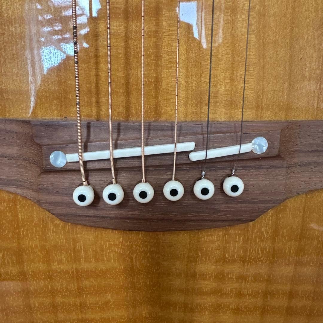 Takamine PTU121C FCB エレアコギター