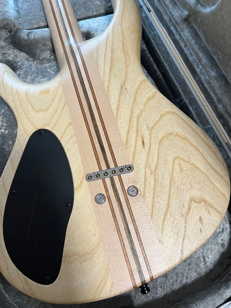 Mayones Regius Core Classic 6弦