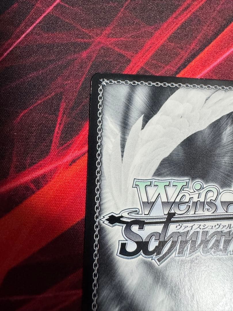 夏の思い出　鴎　SP ヴァイスシュヴァルツ