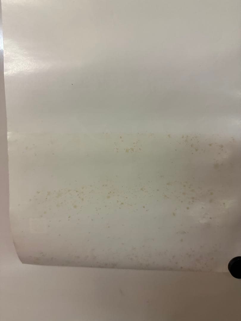 COLDPLAY VIVA LA VIDA ライブ告知ポスター