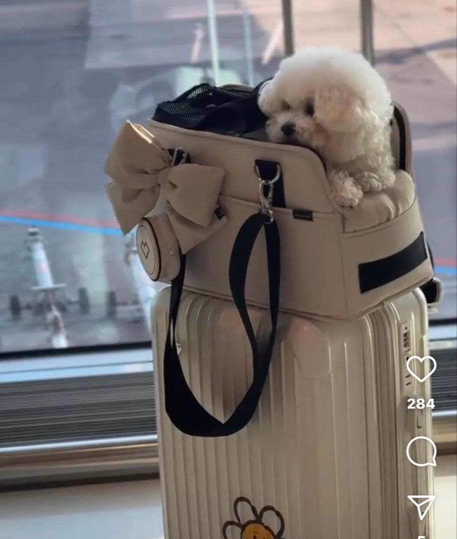 ssoook ペットキャリーバッグ beige M