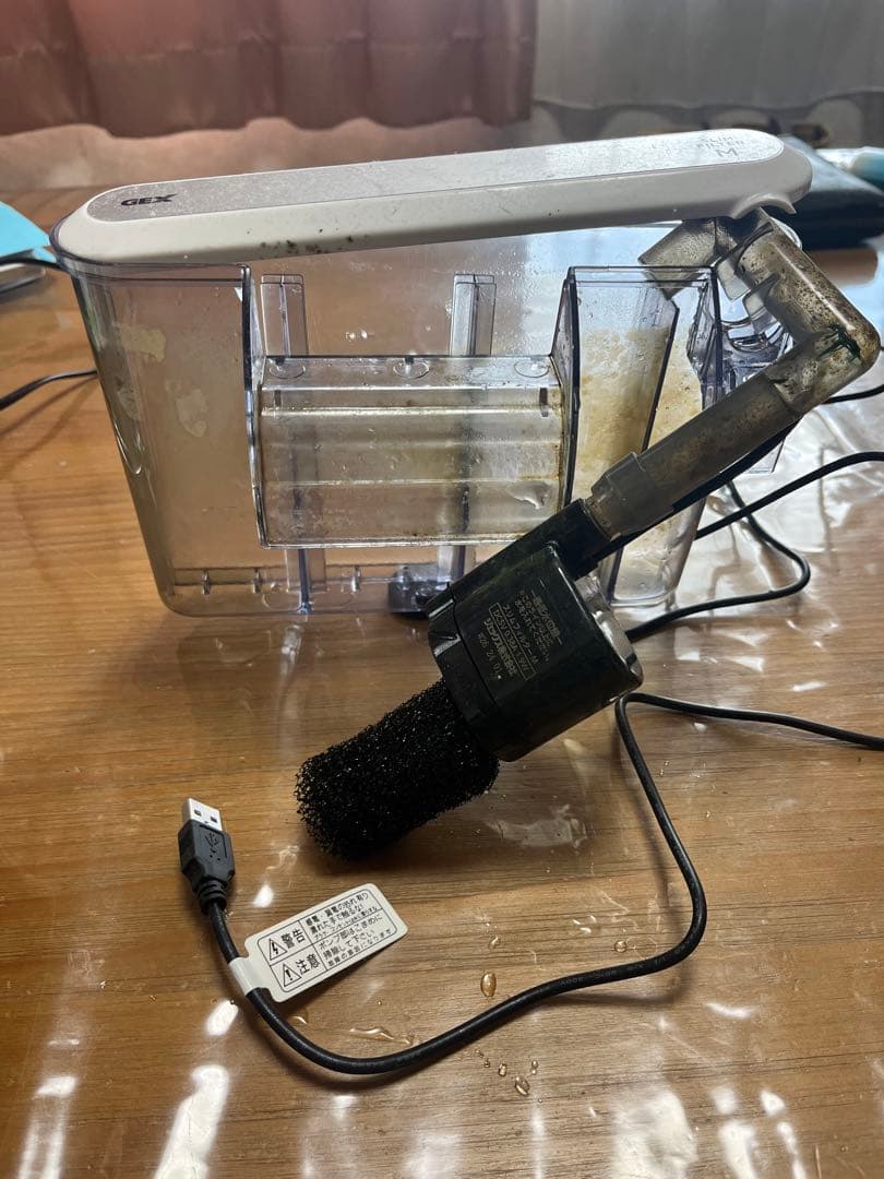 45cmガラス水槽 引退品フルセット