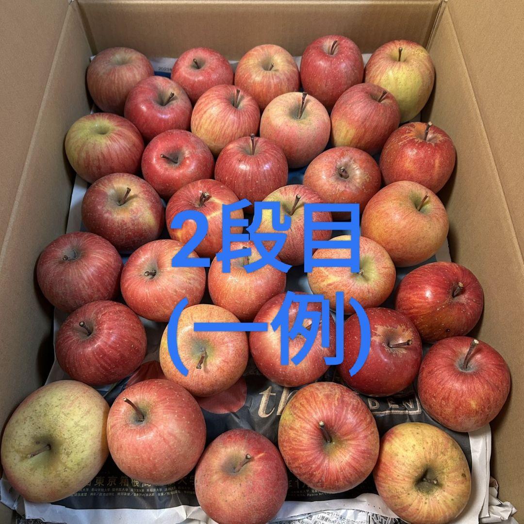 ゆぅ　サンふじ　訳あり(超小玉)箱込み約13kg