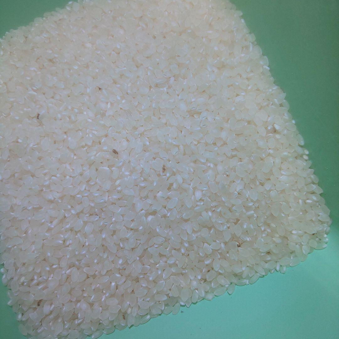 令和7年度岐阜県産 コシヒカリ 玄米 約 30㎏