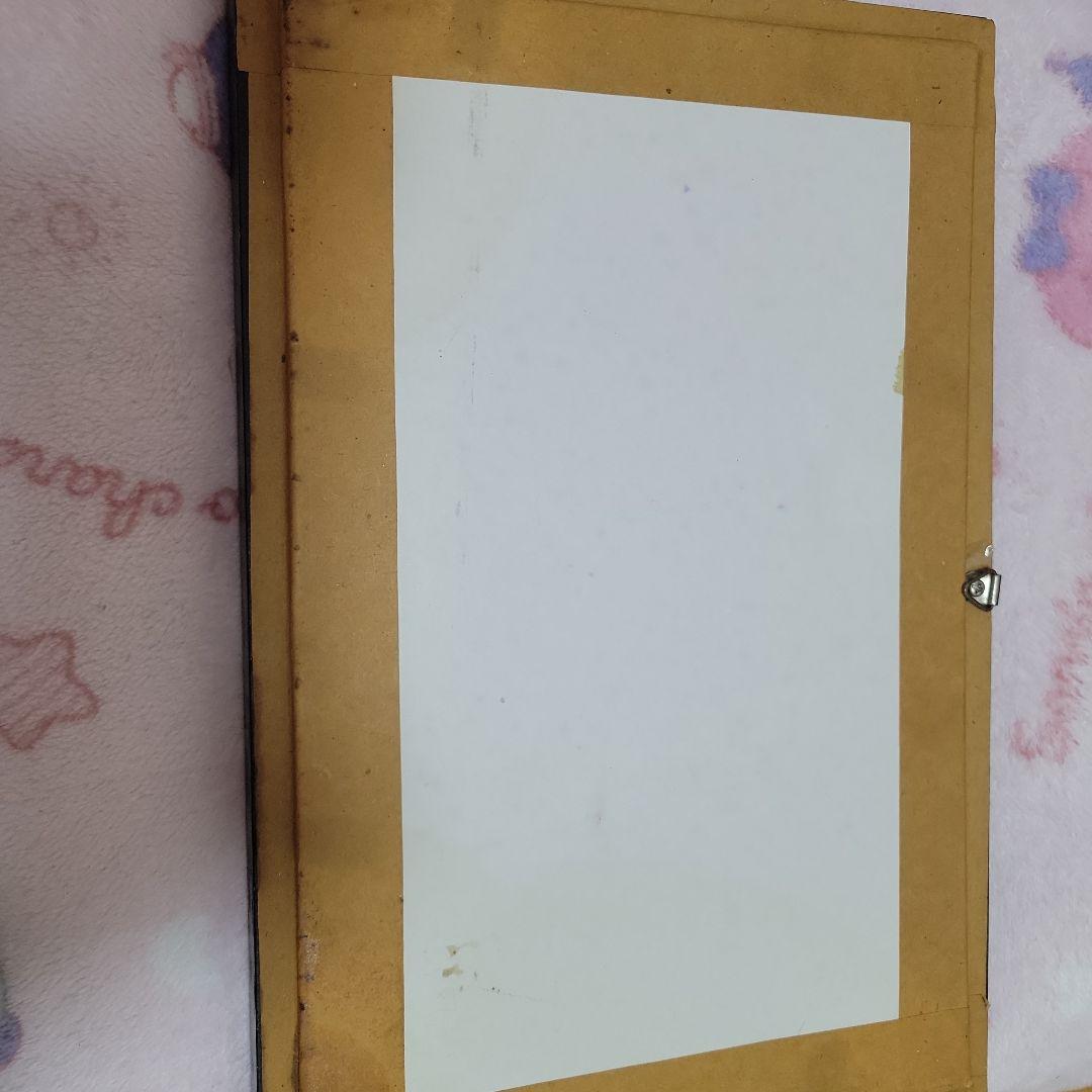 クモとサソリの標本 黒色フレーム付き