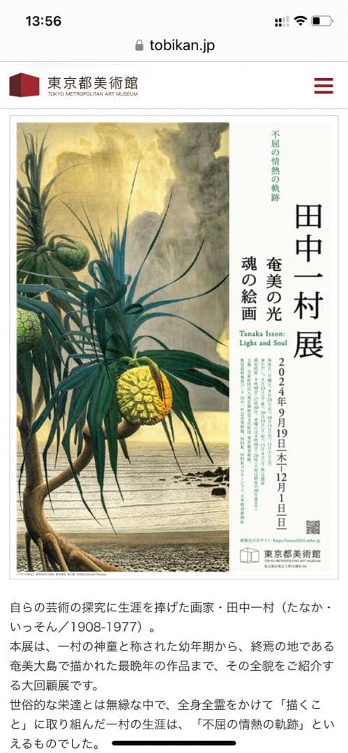 田中一村 ダチュラとアカショウビン 日本放送出版協会