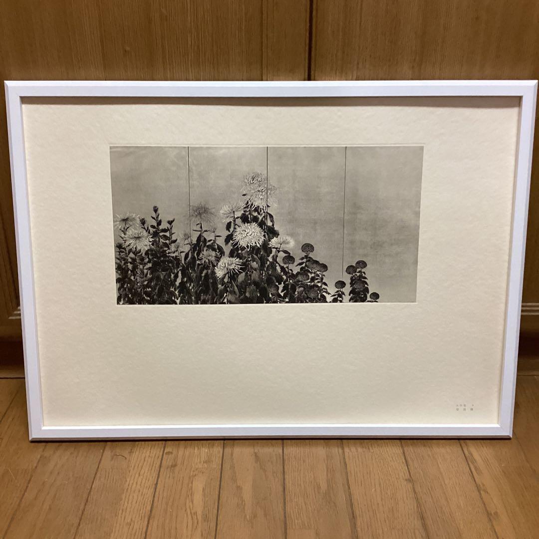 天才画家　速水御舟　作品集大作編　便利堂監修　画集NO 9 【菊花図】