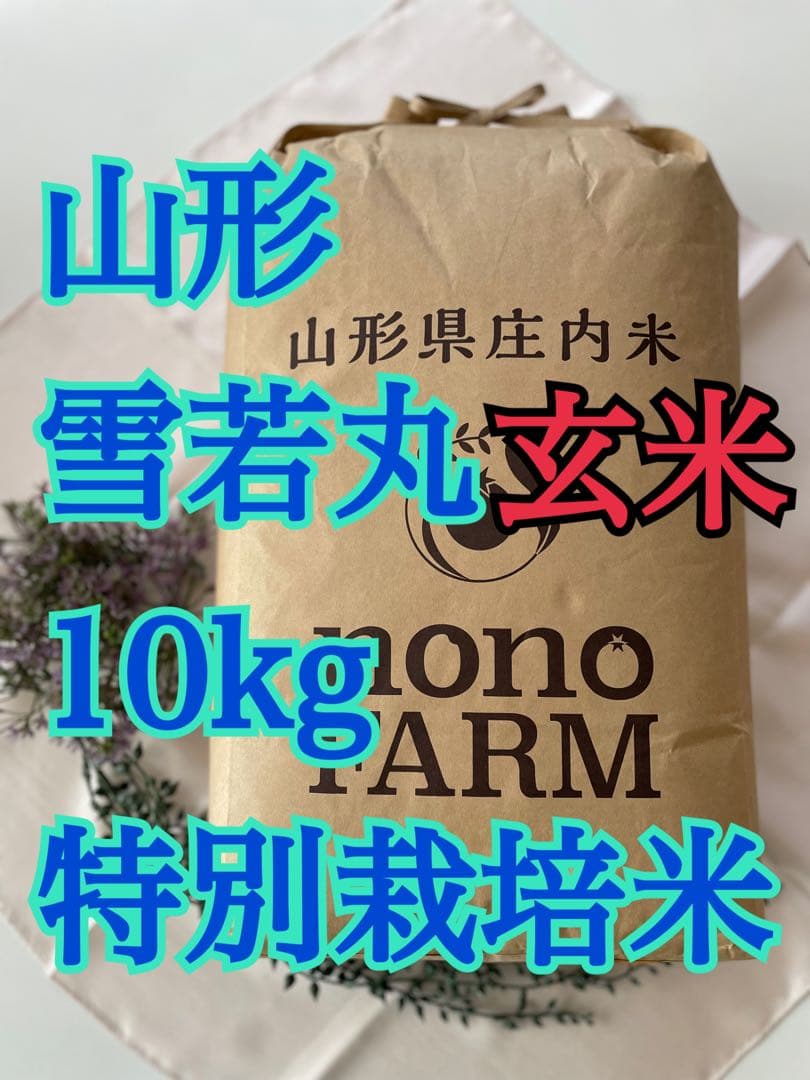 雪若丸　10kg 玄米　山形　令和7年　特別栽培米