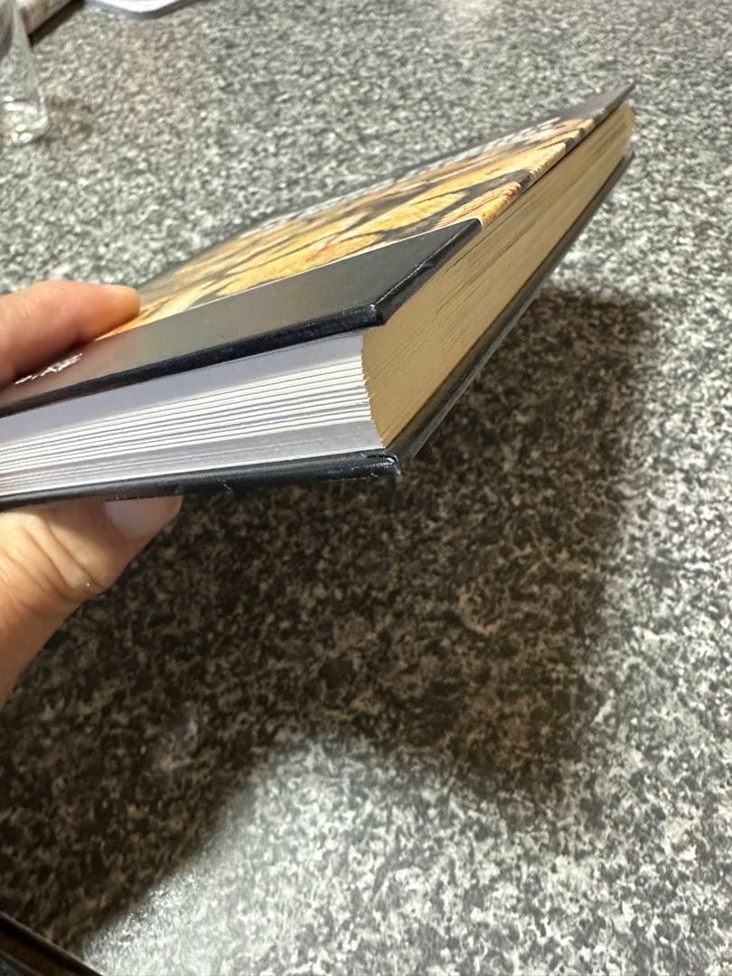 pychon regius ボールパイソン図鑑